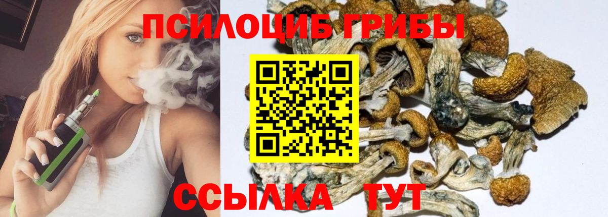 Учалы  Псилоцибиновые грибы Psilocybine cubensis  Вход с VPN  Псилоцибиновые грибы Cubensis 